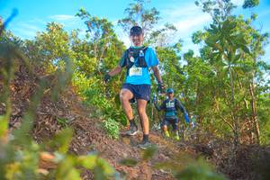 BIB: 
                            <button type="button" onclick="openModal(21836843)" class="btn btn-primary btn-sm float-right btn-popup" data-toggle="modal" data-target=".modal-high-quality">
                        <i class="fas fa-shopping-cart"></i> Add to Cart
                    </button>
                                            <button type="button" onclick="isThisMe(21836843, true)" class="btn btn-success btn-sm float-right btn-popup btn-isme hidden" data-toggle="tooltip" data-placement="bottom" title="นี่คือรูปของคุณใช่ไหม คลิกที่นี่เพื่อเอาเข้าอัลบั้ม">
                        <i class="fas fa-plus"></i> Add to album
                    </button>
                    <button type="button" onclick="isThisMe(21836843, false)" class="btn btn-warning btn-sm float-right btn-popup btn-isnotme hidden">
                        <i class="fas fa-ban"></i> Remove from album
                    </button>